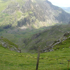 DSC02685