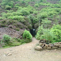 DSC02737