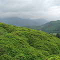 DSC02741