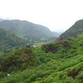 DSC02743