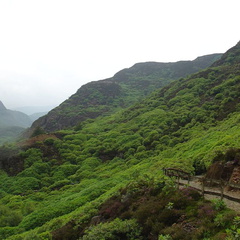 DSC02744