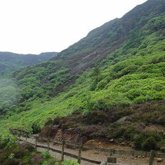 DSC02745