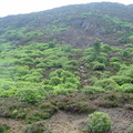 DSC02746