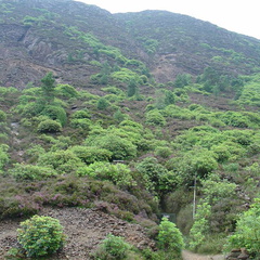 DSC02747