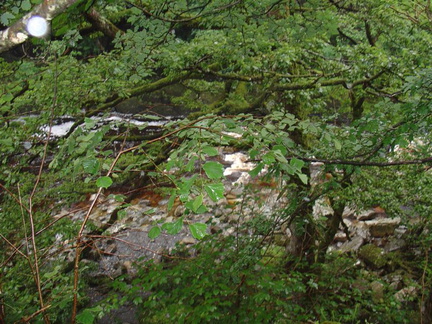 DSC02768