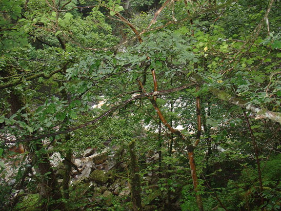 DSC02769