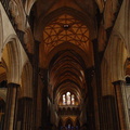 DSC02828