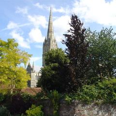 DSC02892