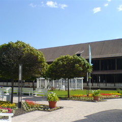 DSC01559