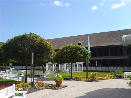 DSC01559