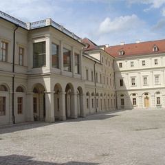 DSC02456