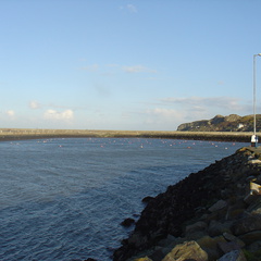 DSC04122