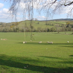 DSC04847