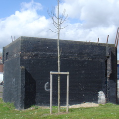 DSC04348