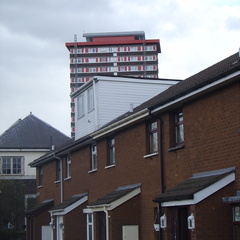 DSC04391