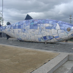 DSC04421
