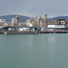 DSC04435