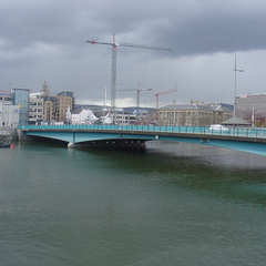 DSC04446