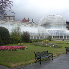 DSC04481