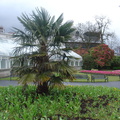 DSC04486