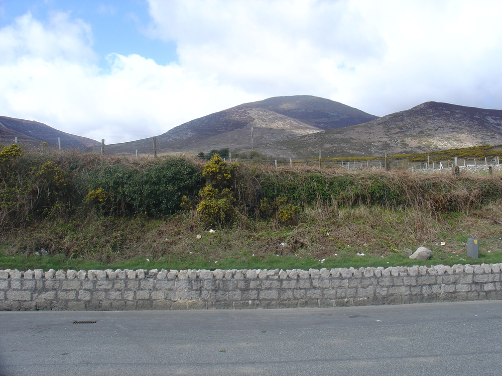 DSC04951