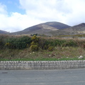 DSC04951