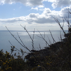DSC04953