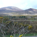 DSC04955