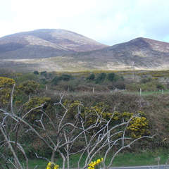 DSC04955