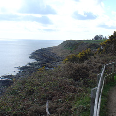 DSC04957