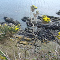 DSC04958