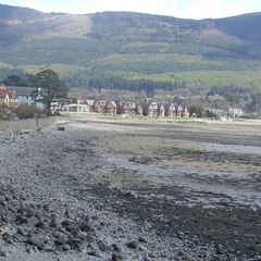 DSC04959