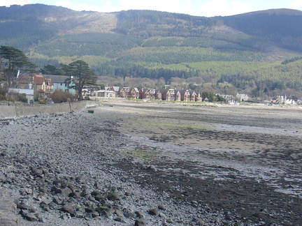 DSC04959