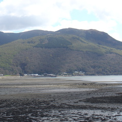 DSC04961