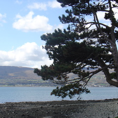 DSC04962