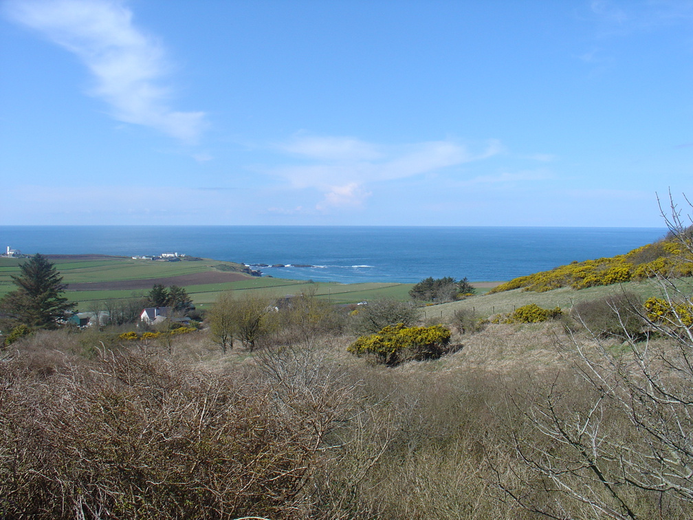 DSC04714