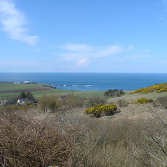 DSC04714