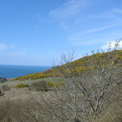 DSC04715