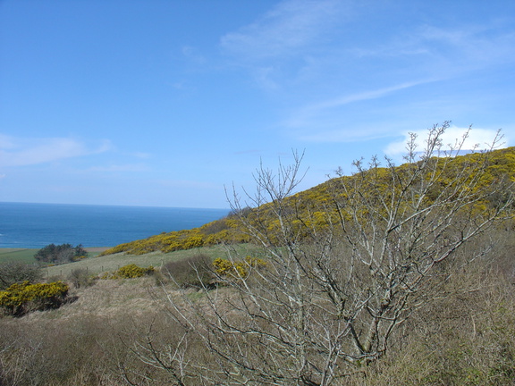 DSC04715