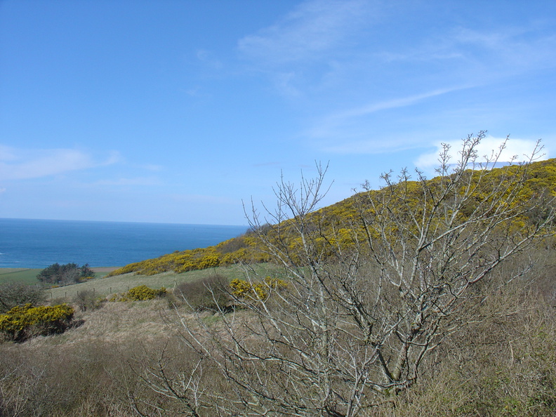 DSC04715