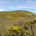 DSC04716