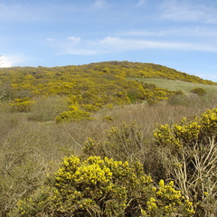 DSC04716