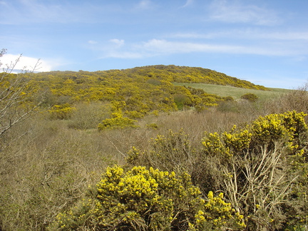 DSC04716