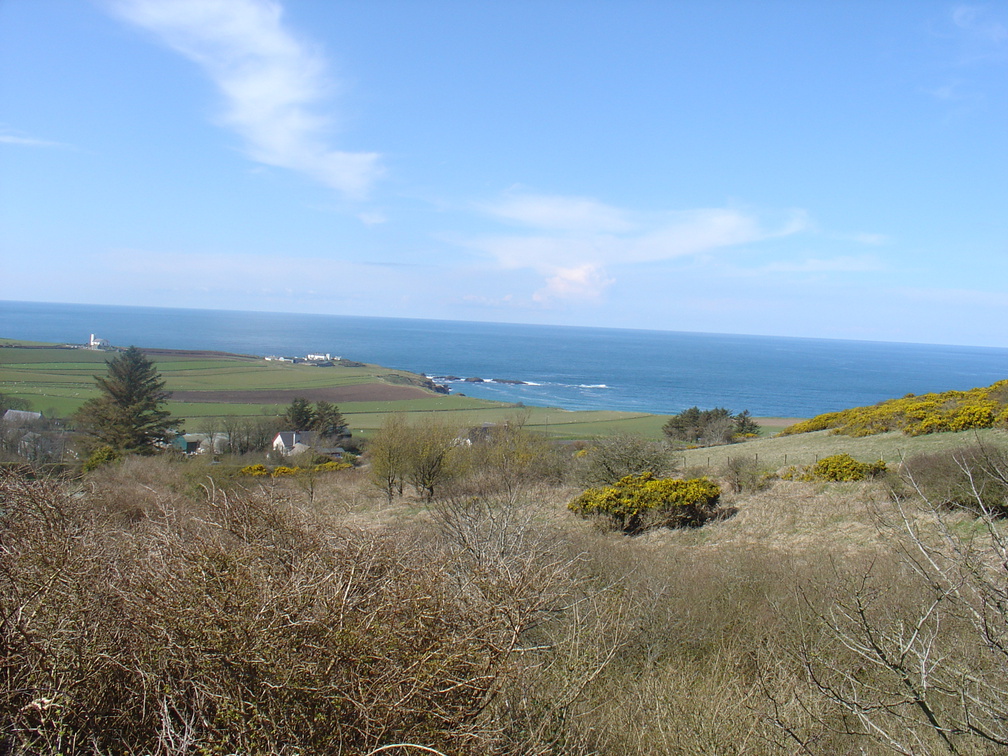 DSC04717