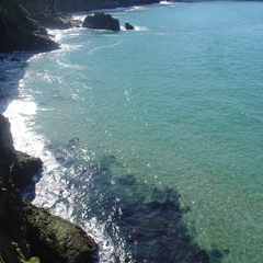 DSC04737