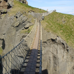 DSC04743