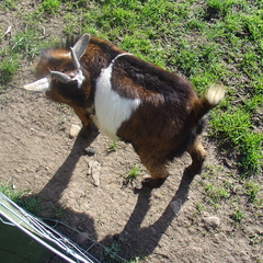 DSC04861