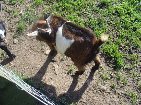 DSC04861