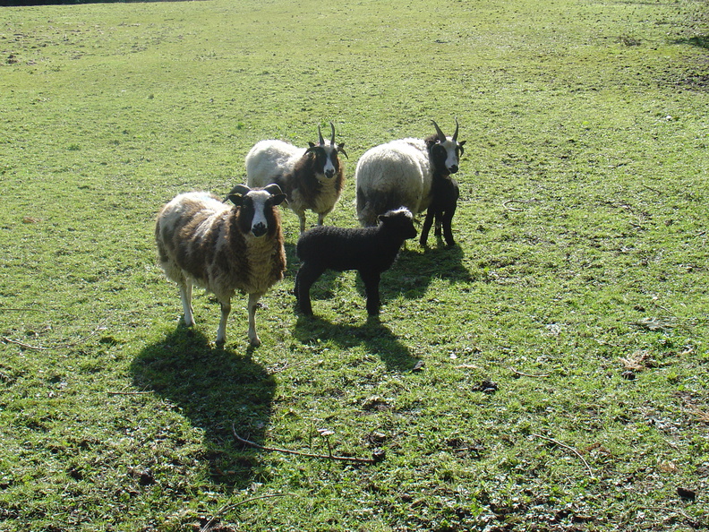 DSC04872.JPG