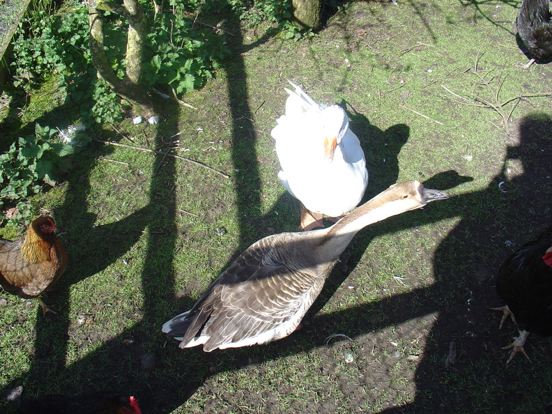 DSC04894.JPG